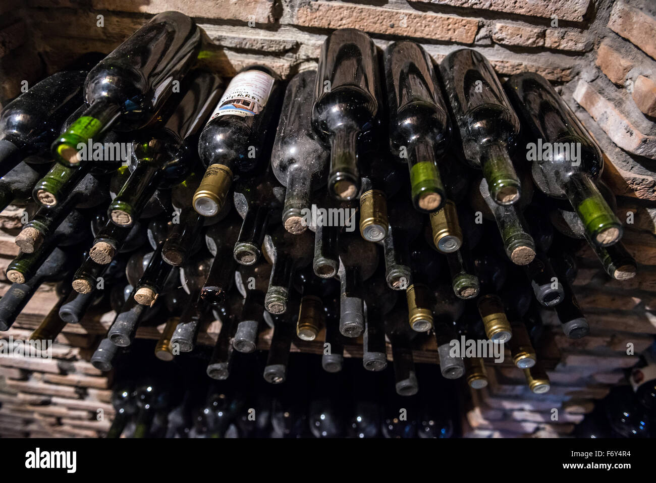 wine cellar in Kvevri Wine Museum of Twins Wine Cellar Wine Company