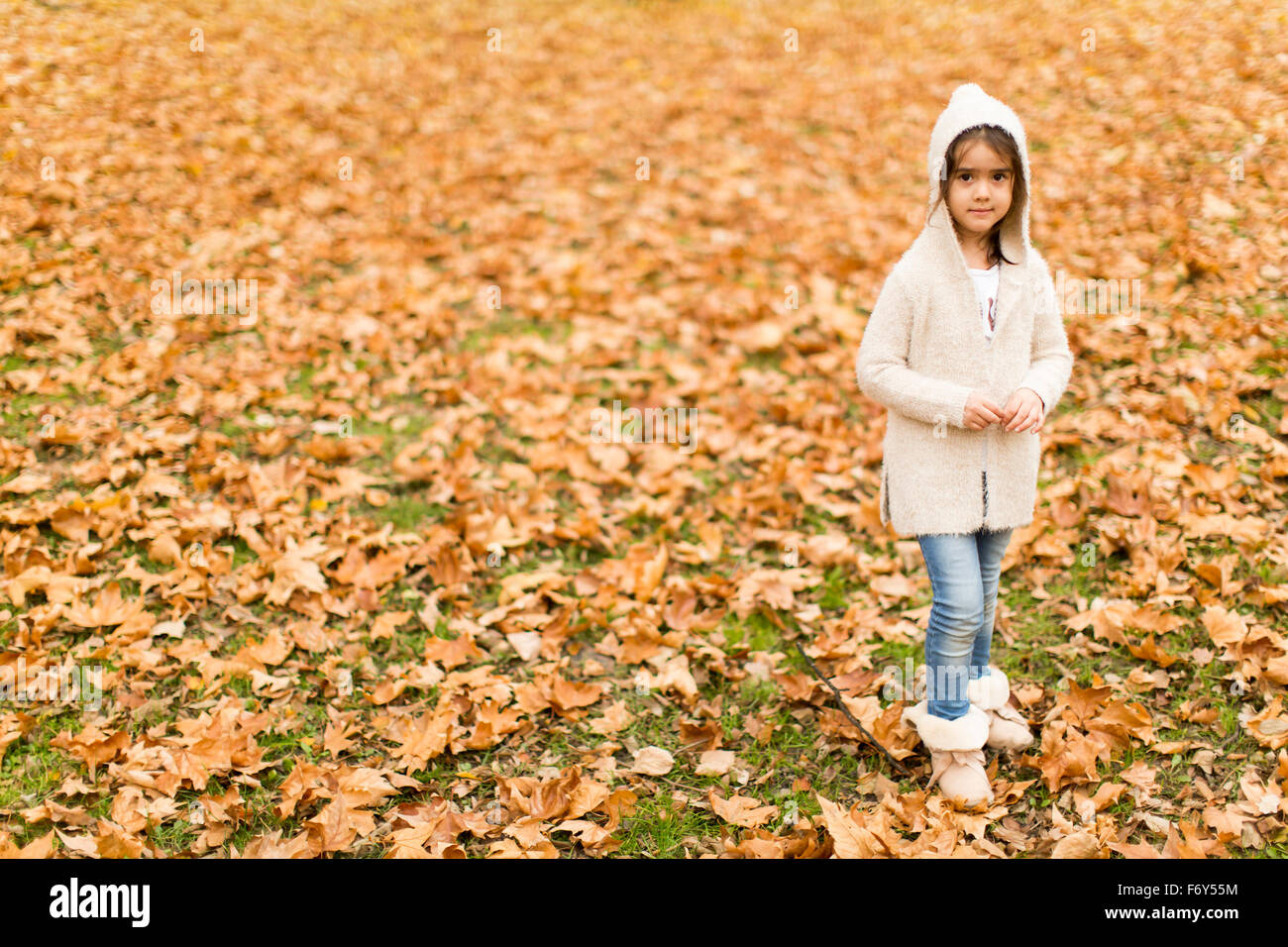 Little girl in the autumn park Stock Photo - Alamy