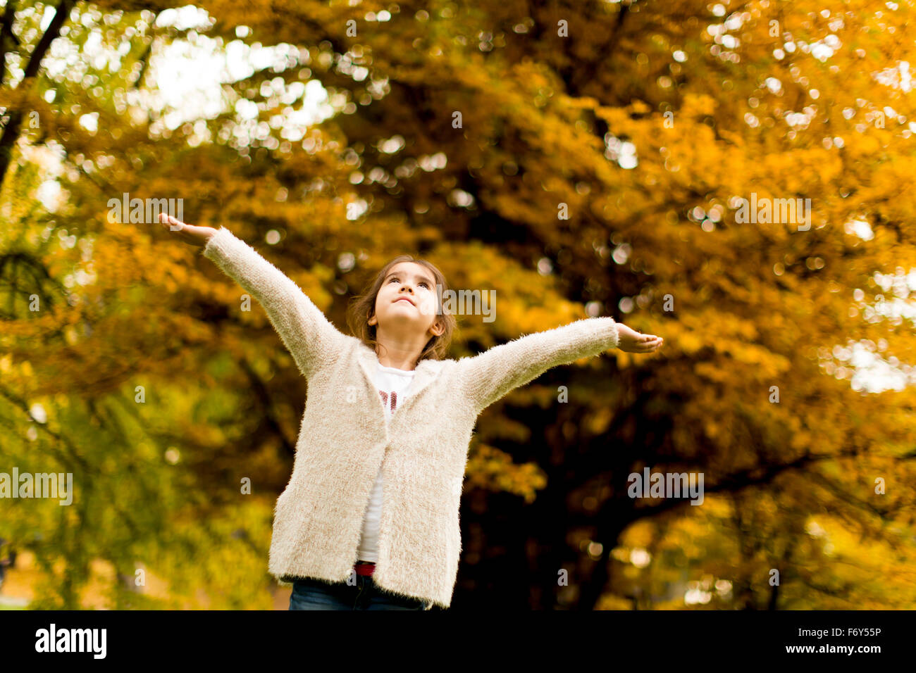 Little girl in the autumn park Stock Photo - Alamy