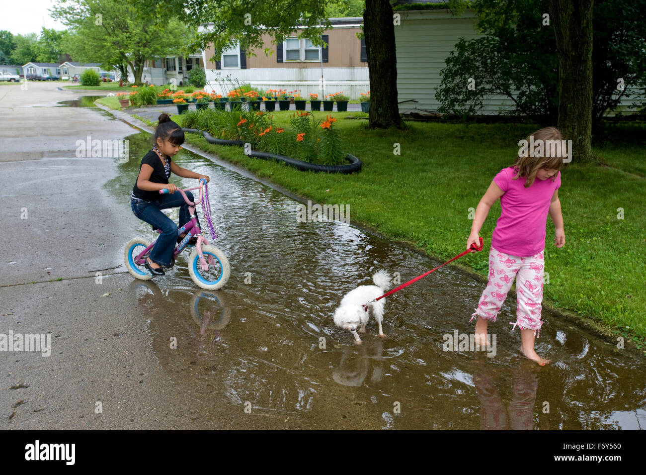 Hispanic girls and white girl with pet dog. Stock Photo