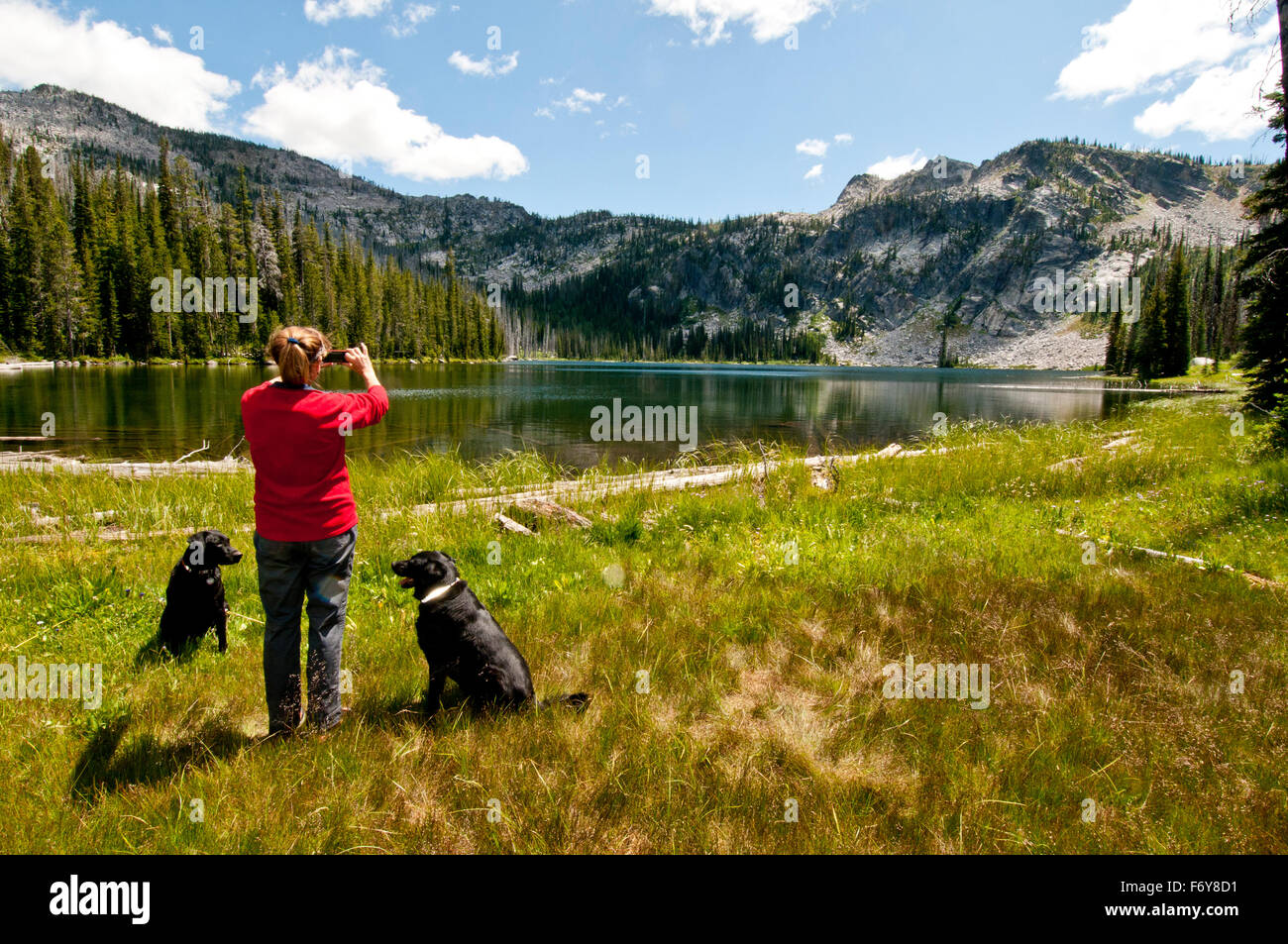Woman and dogs in the Payette National Forest, Idaho, photographing a mountain lake with a cellphone  (MR) Stock Photo