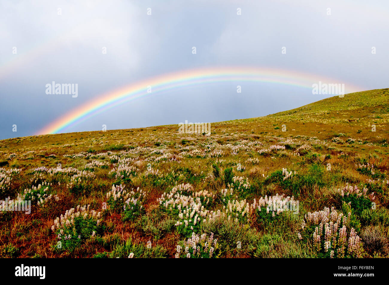Rainbow over high desert in Malheur County in south-eastern Oregon in the Spring. Stock Photo