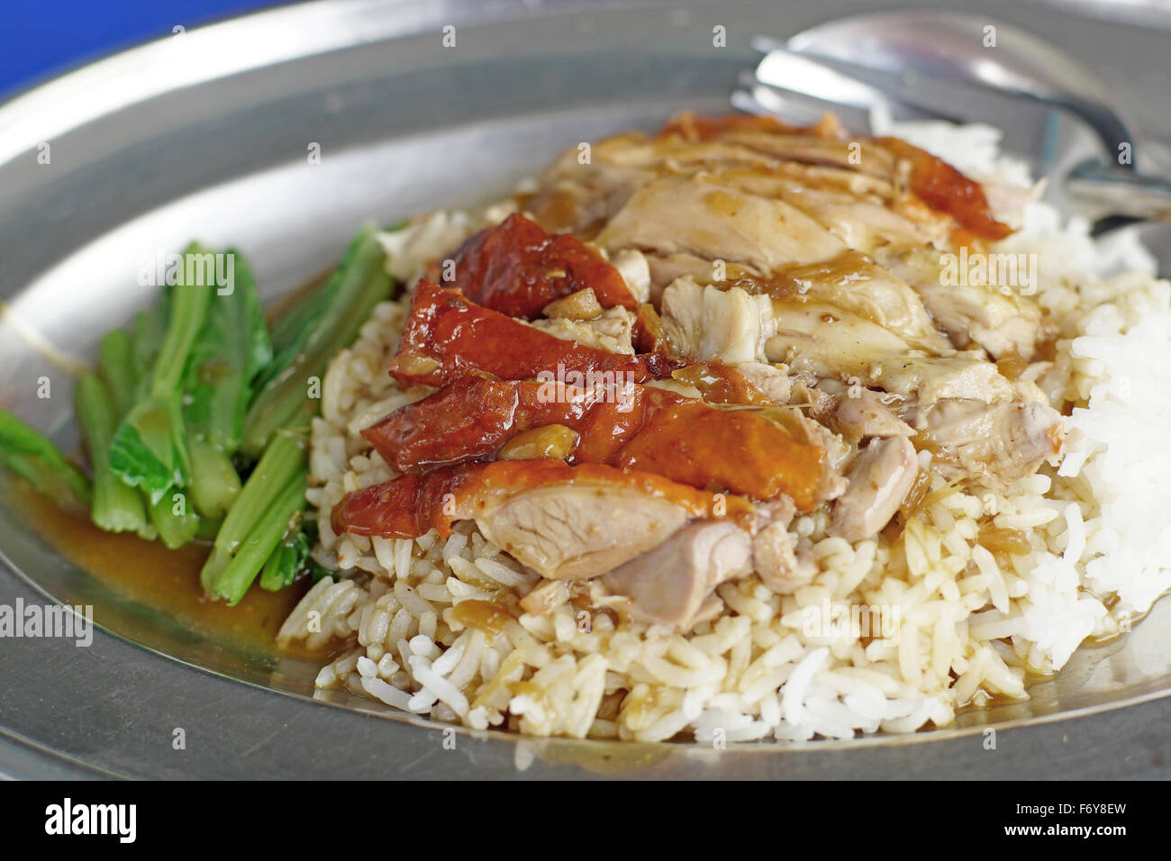 chinese food, roasted duck on steamed rice with sauce Stock Photo