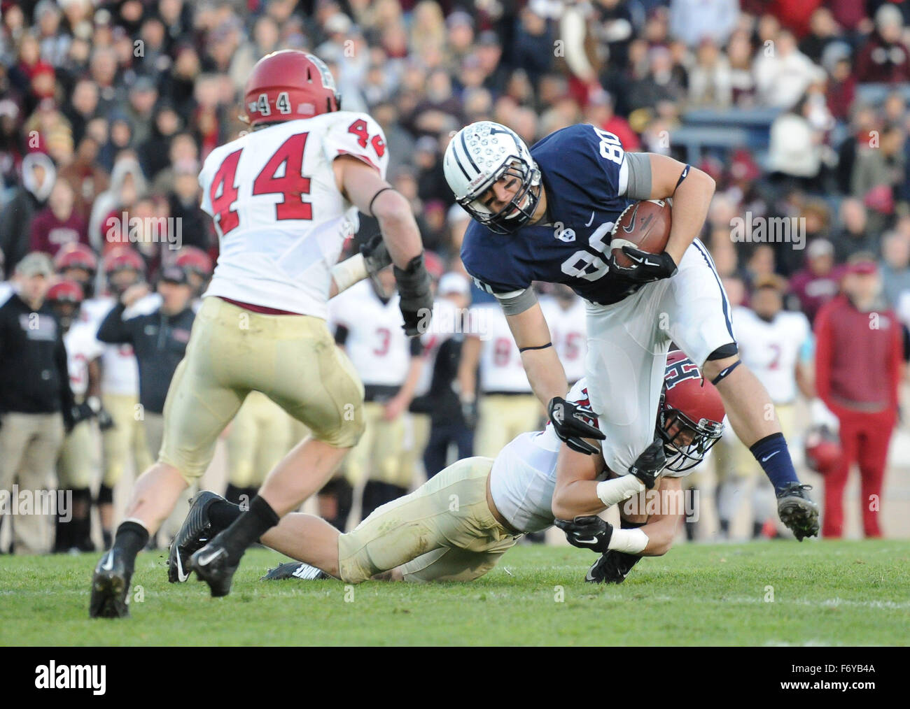 New Haven, Connecticut, USA. 21st Nov, 2015. Leo Haenni (80) of the Yale Bulldogs in action during a game against the Harvard Crimson at the Yale Bowl in New Haven, Connecticut.(Gregory Vasil/Cal Sport Media) Credit:  csm/Alamy Live News Stock Photo