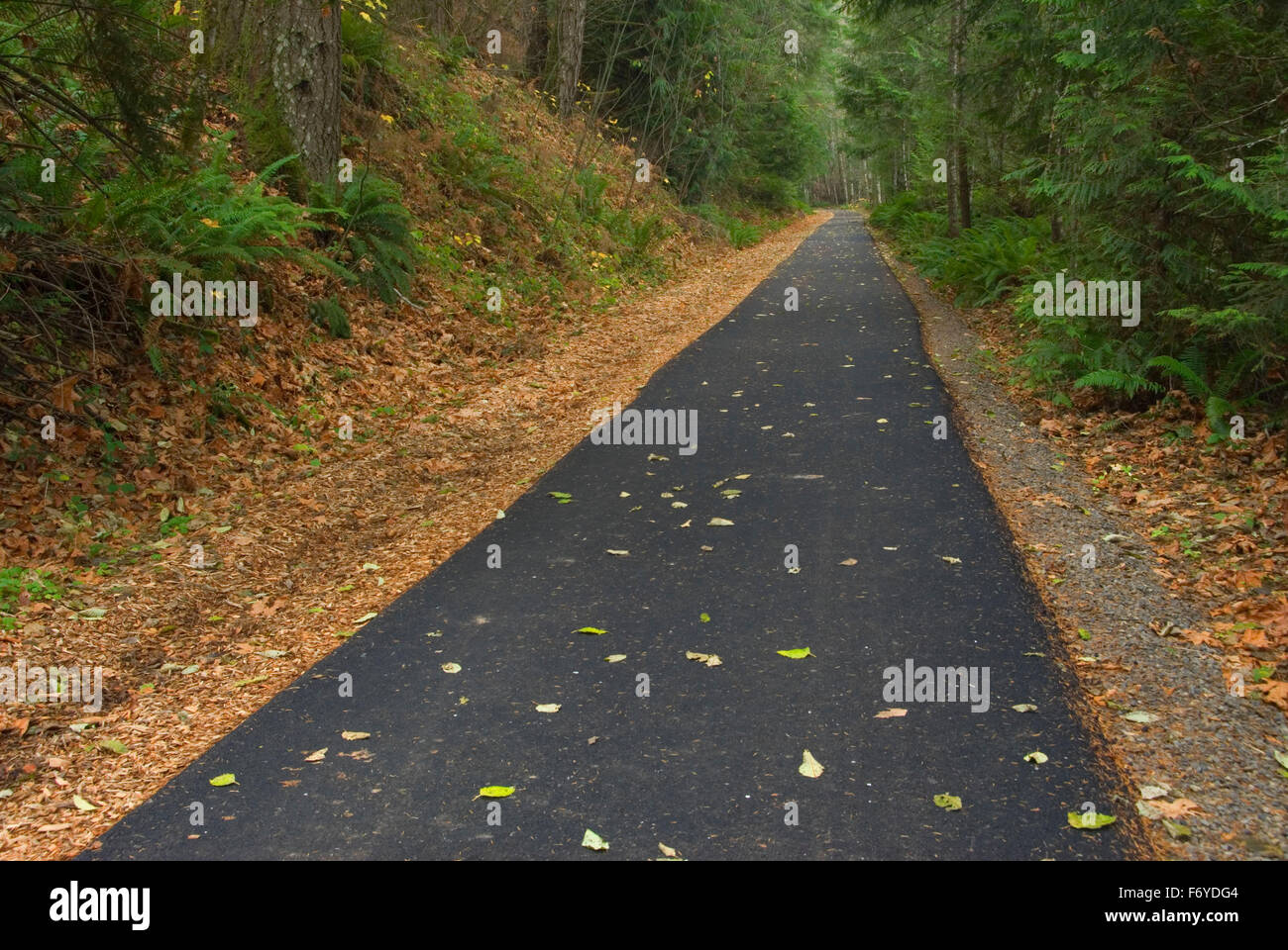 Rail trail, BanksVernonia Linear State Park, Stub Stewart State Park