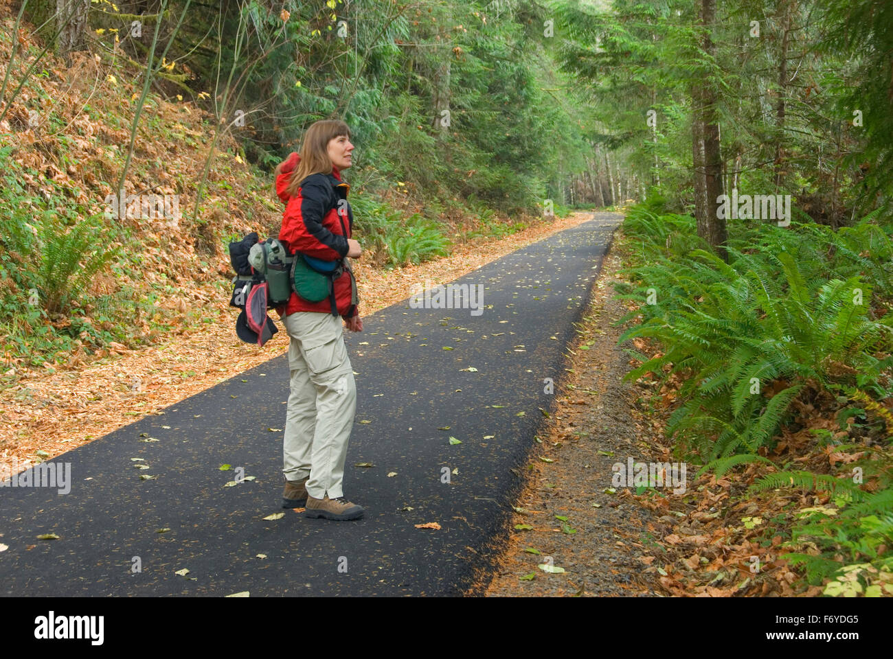 Rail trail, BanksVernonia Linear State Park, Stub Stewart State Park