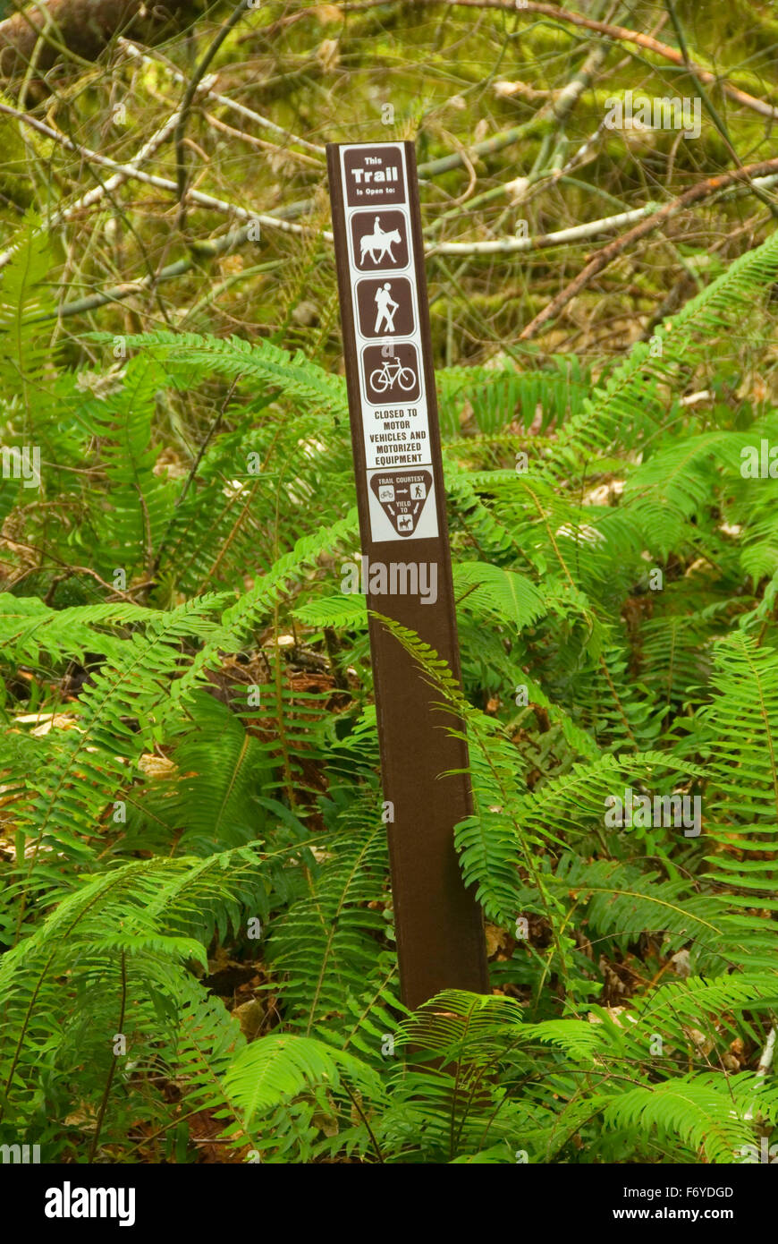 Trail sign on Gales Creek Trail, Tillamook State Forest, Oregon Stock Photo