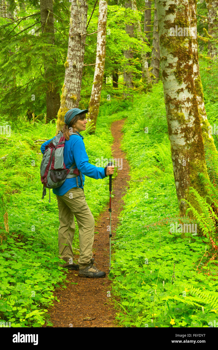 Bloom Lake Trail, Clatsop State Forest, Oregon Stock Photo Alamy