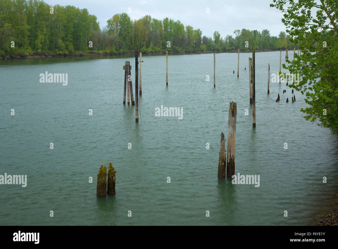 multnomah-channel-hi-res-stock-photography-and-images-alamy