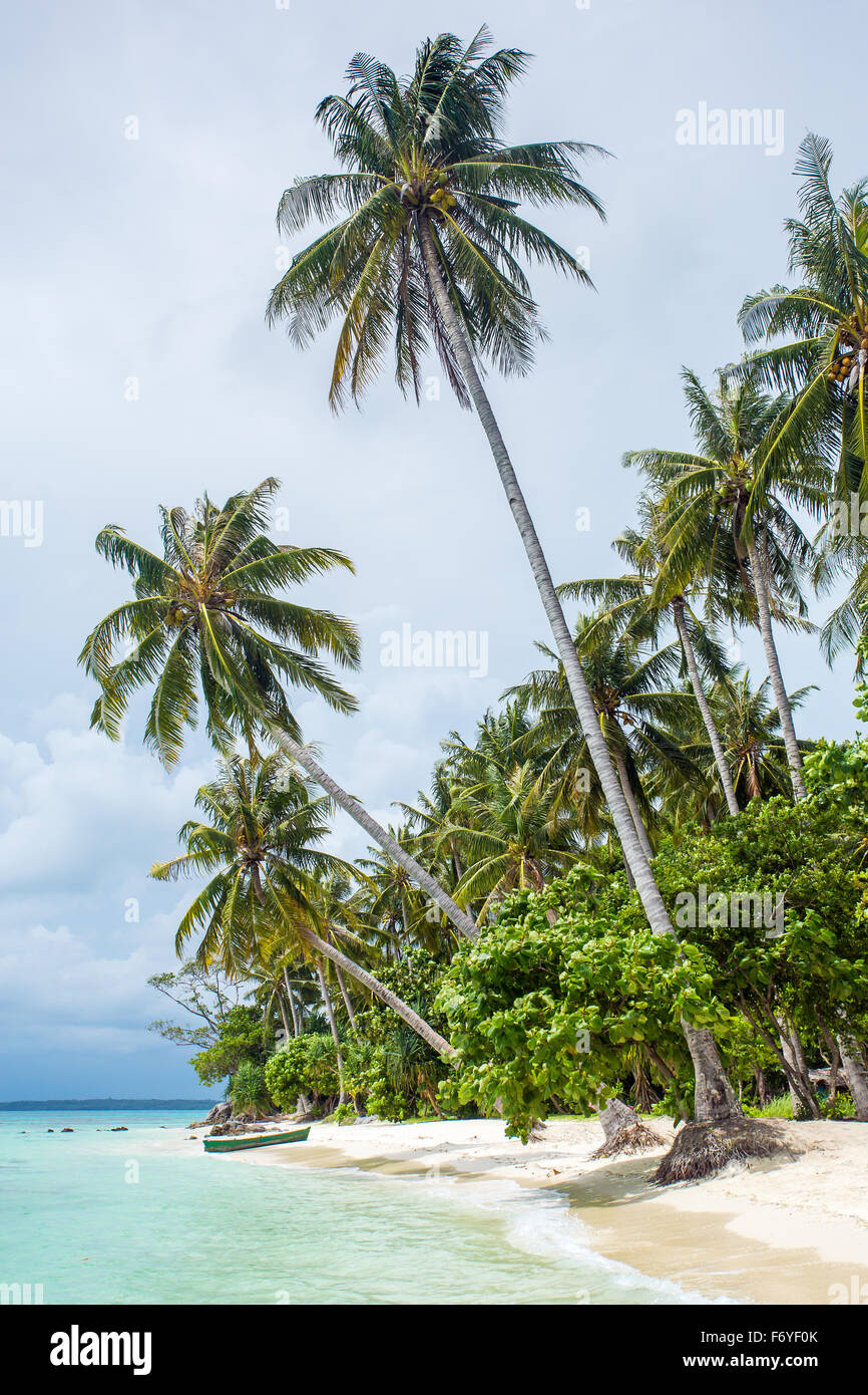 Beautiful beach tropical palm hi-res stock photography and images - Alamy