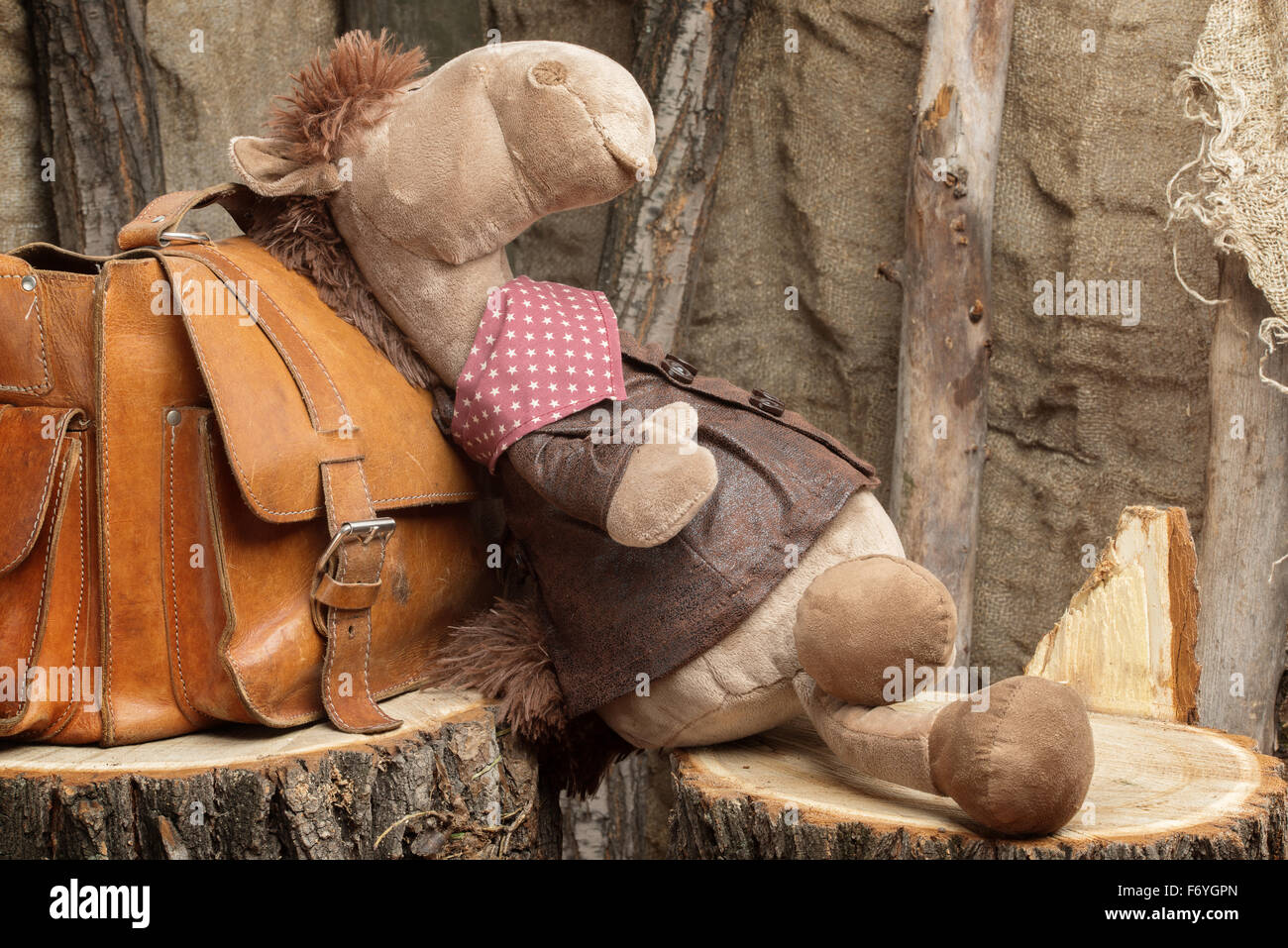 Bag with toy Stock Photo - Alamy
