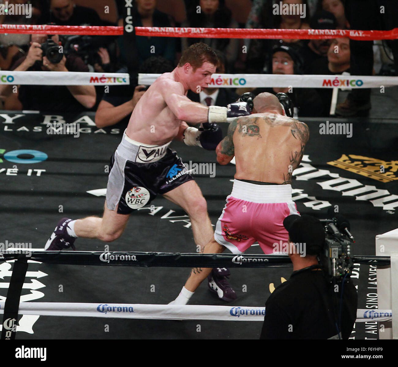 Las Vegas, Nevada, USA. 22nd Nov, 2015. Boxers Miguel Cotto and Saul Canelo Alvarez fight each other during their WBC, Ring Magazine and Lineal Middleweight Championship Boxing match on November 21, 2015 at Mandalay Bay Events Center in Las Vegas, Nevada Credit:  Marcel Thomas/ZUMA Wire/Alamy Live News Stock Photo