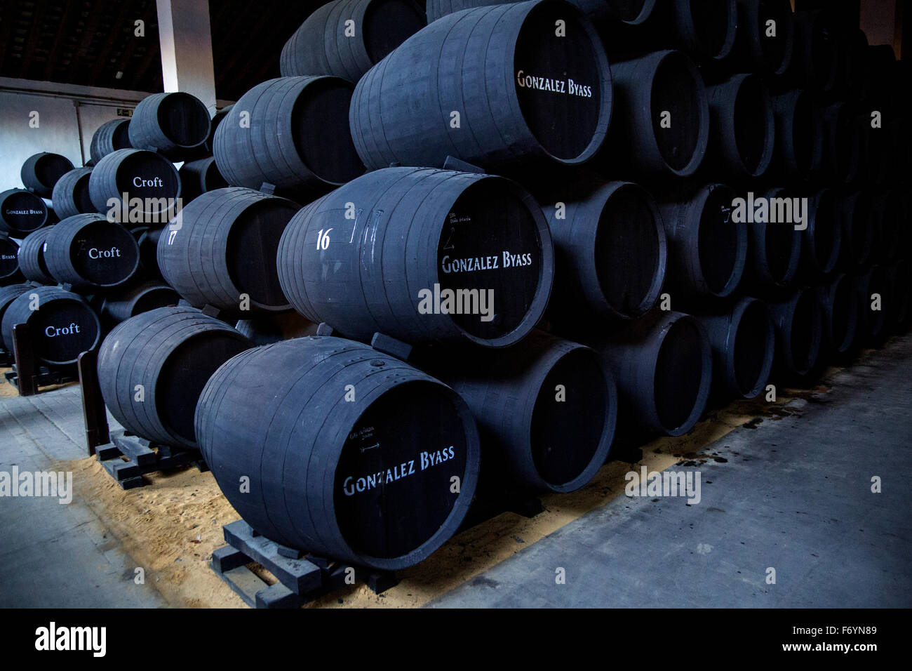 Oak barrels of maturing sherry wine cellar, Gonzalez Byass bodega, Jerez de la Frontera, Cadiz province, Spain Stock Photo