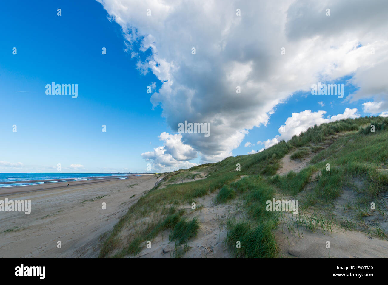 The Kennemer dune area is the largest dune area in the Netherlands and is partly used for the collection of water Stock Photo