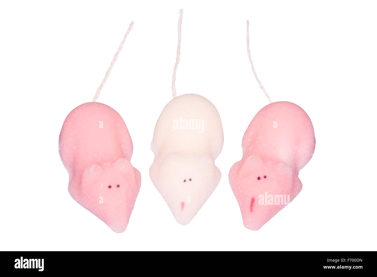 Sugar mice cut out or isolated against a white background. Stock Photo