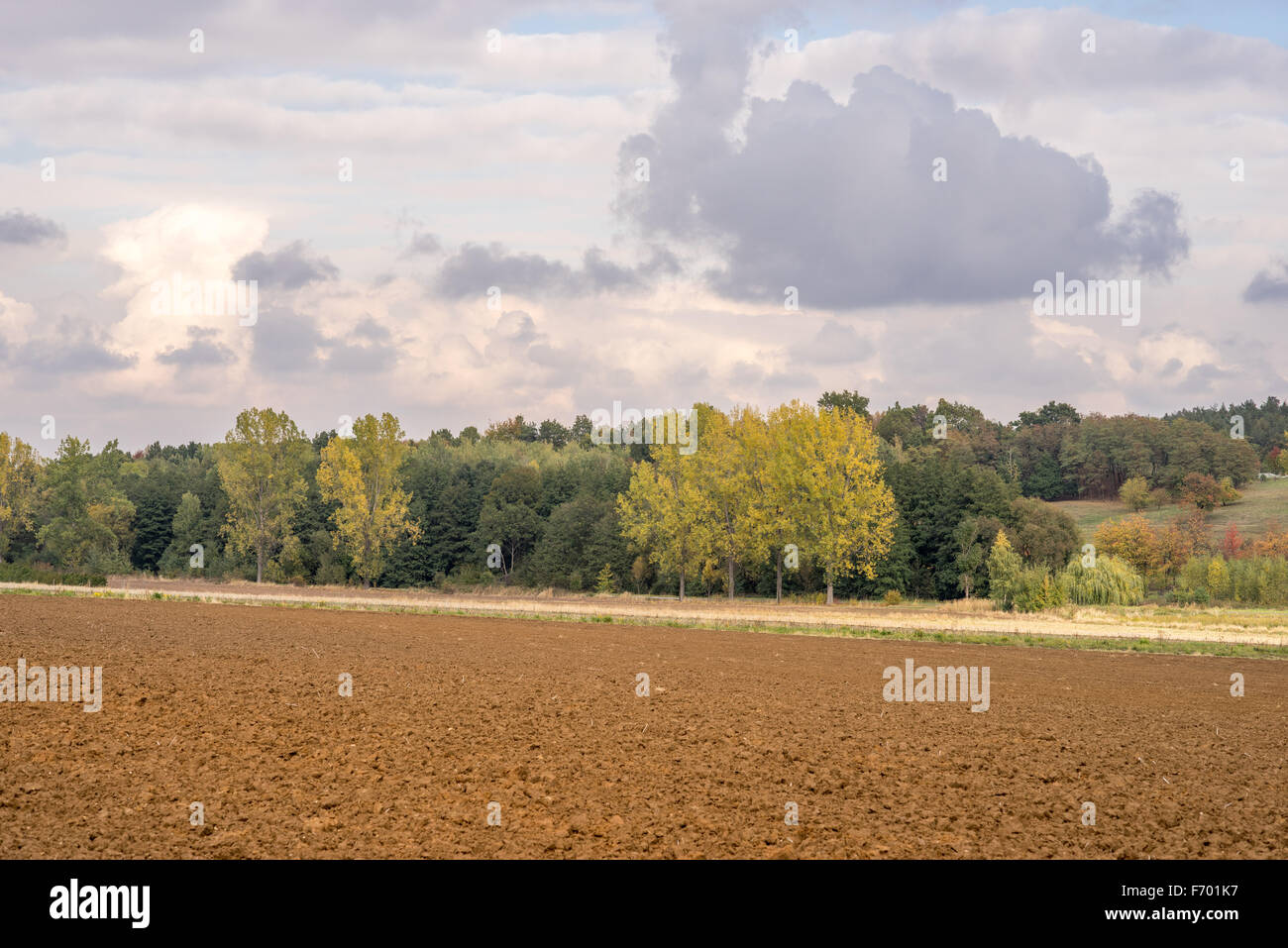 Multicolor autumn rural landscape near Mount Sleza Lower Silesia Stock Photo