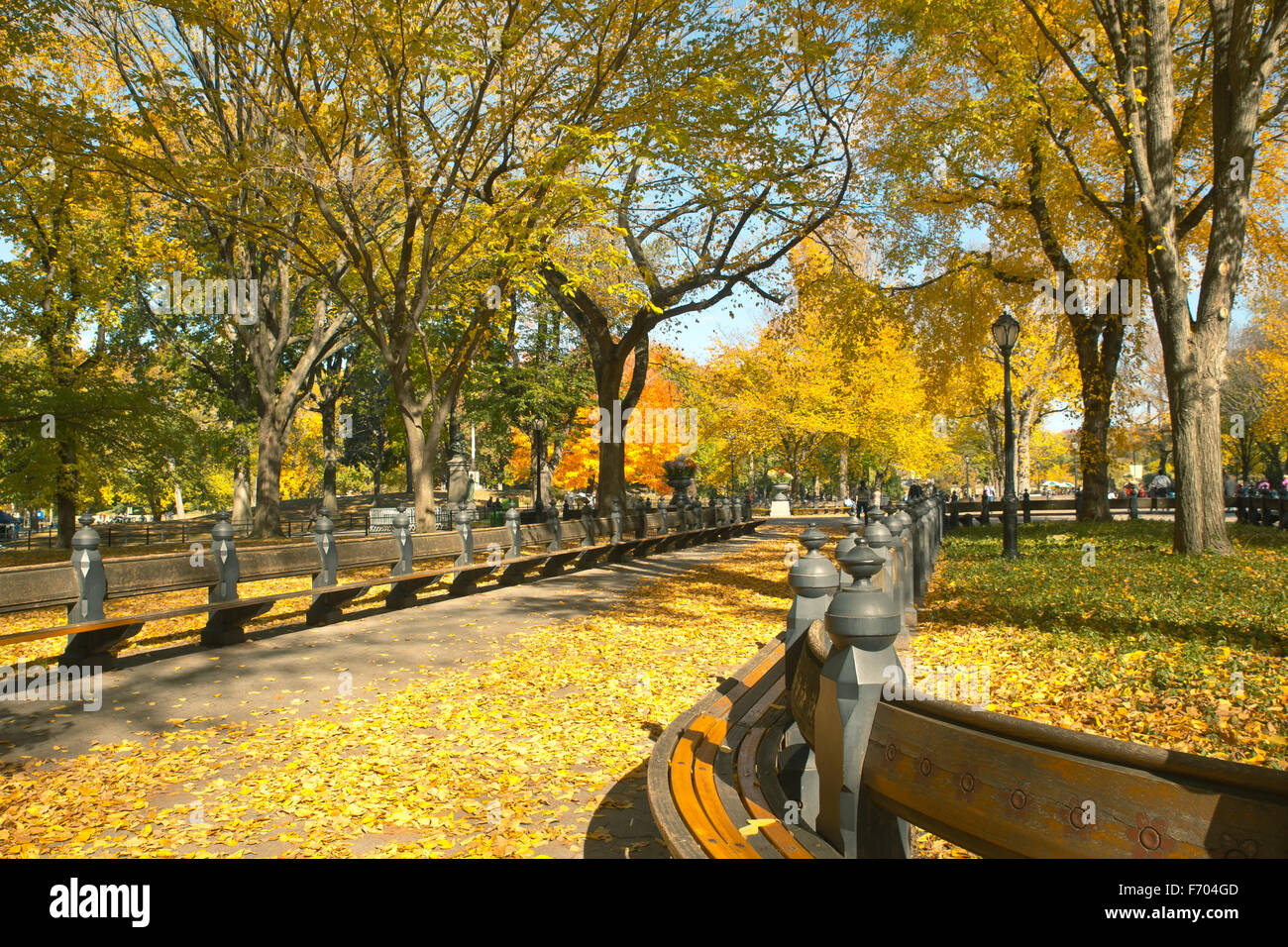 Central Park in New York City on colorful autumn day Stock Photo - Alamy