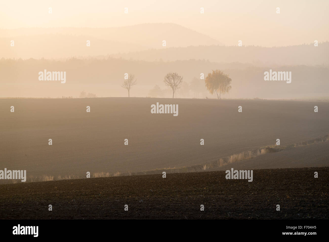 October landscape with golden sunset glow and mist near Mount Sleza Lower Silesia Stock Photo