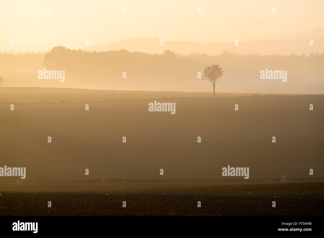 October landscape with golden sunset glow and mist near Mount Sleza Lower Silesia Stock Photo