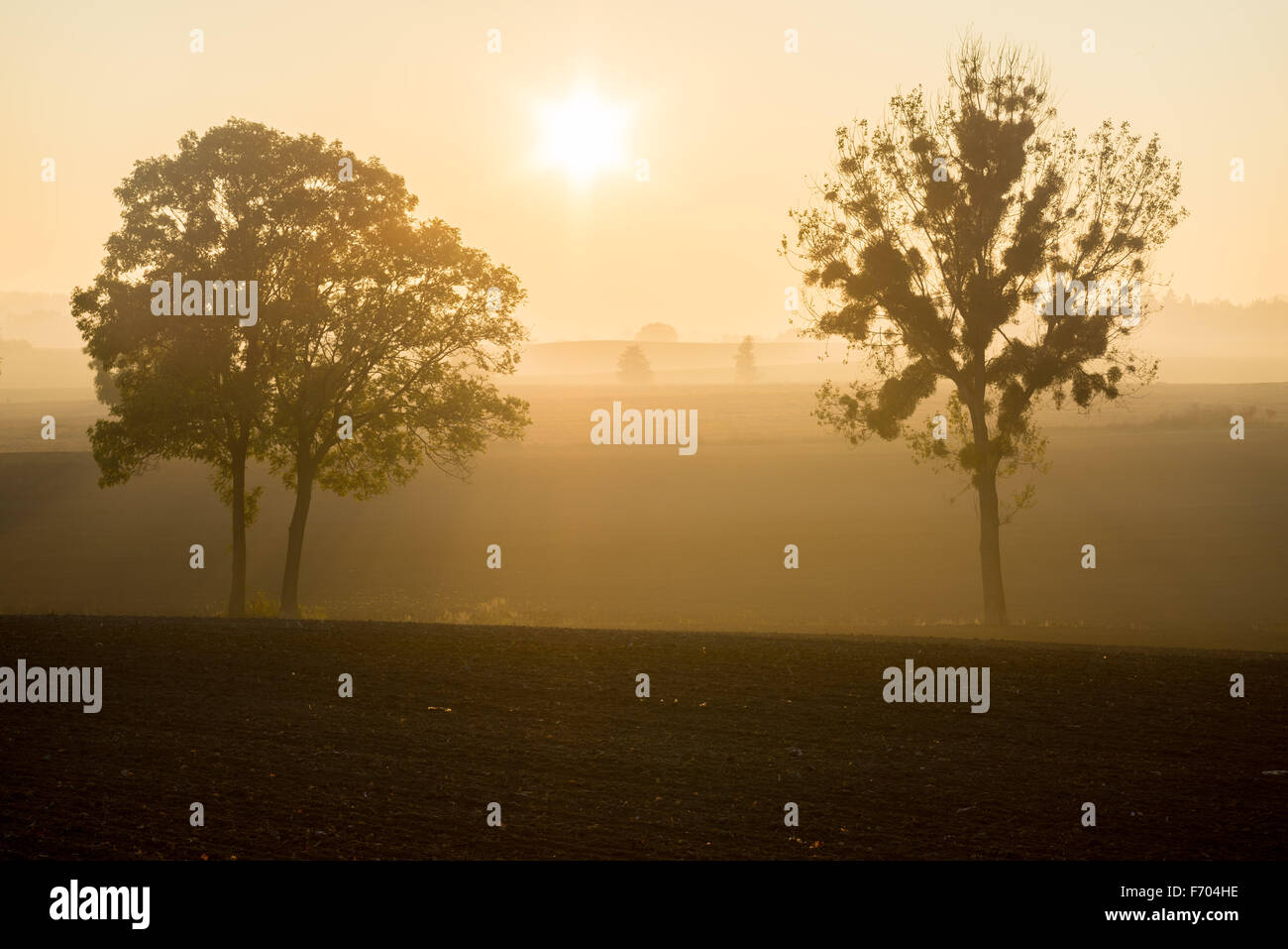 October landscape with golden sunset glow and mist near Mount Sleza Lower Silesia Stock Photo