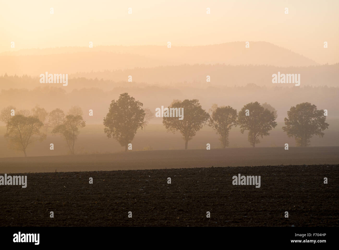 October landscape with golden sunset glow and mist near Mount Sleza Lower Silesia Stock Photo