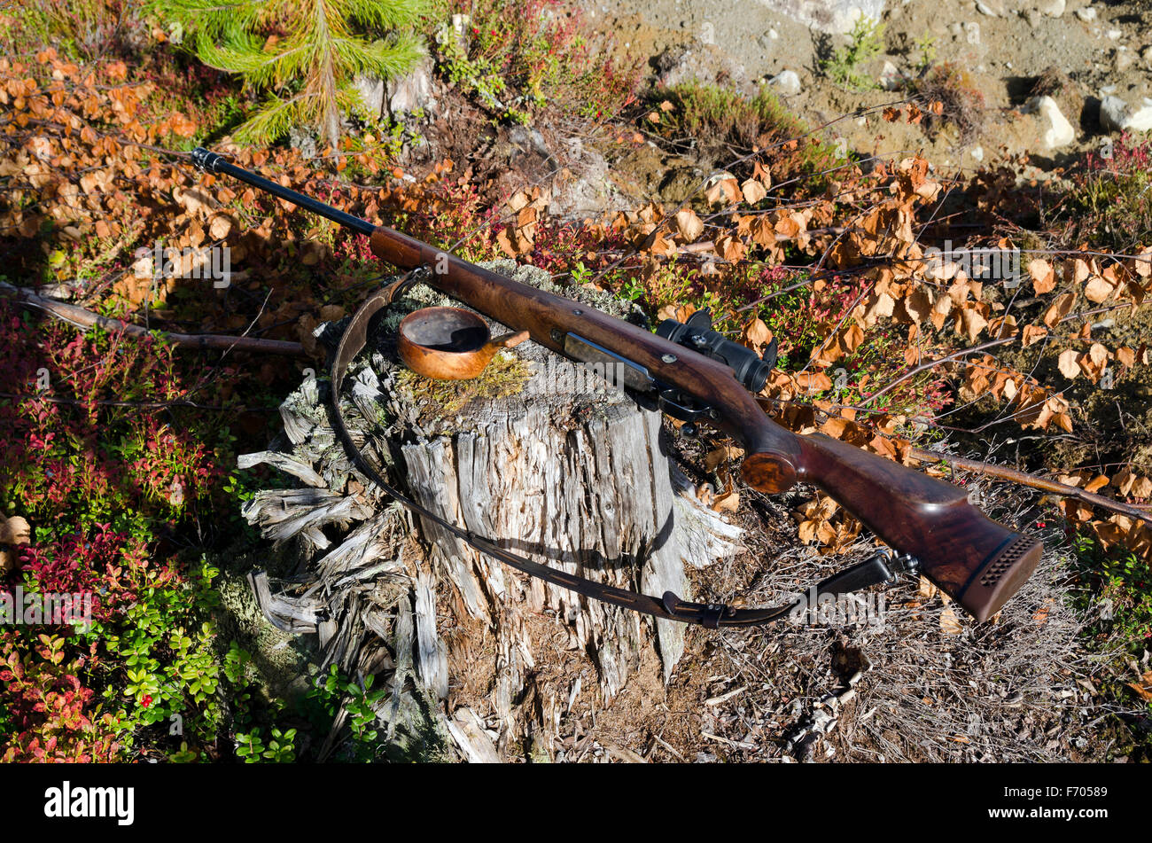 Rifle used for Moose hunting and a cup made of wood lies on a stump