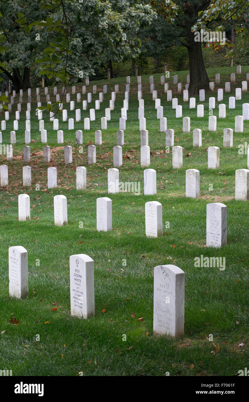 Rows of tombstones at Arlington National Cemetery, Arlington County, Virginia, USA Stock Photo