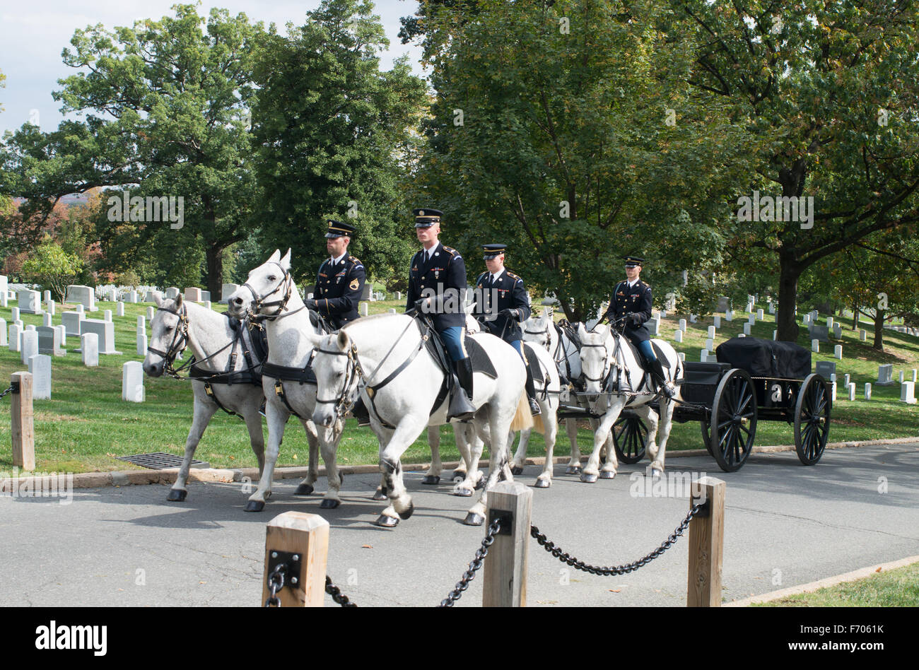 Horse drawn caisson or gun carriage in funeral procession, Arlington National Cemetery, Arlington County, Virginia, USA Stock Photo