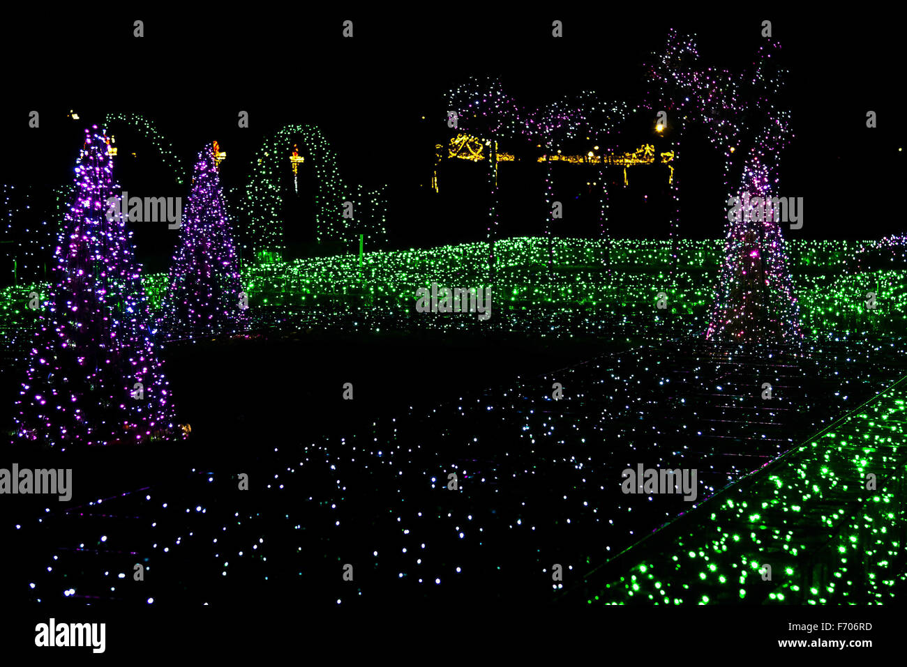 Fir-Trees and Grass Illuminated by Christmas Lights in Garden Stock Photo