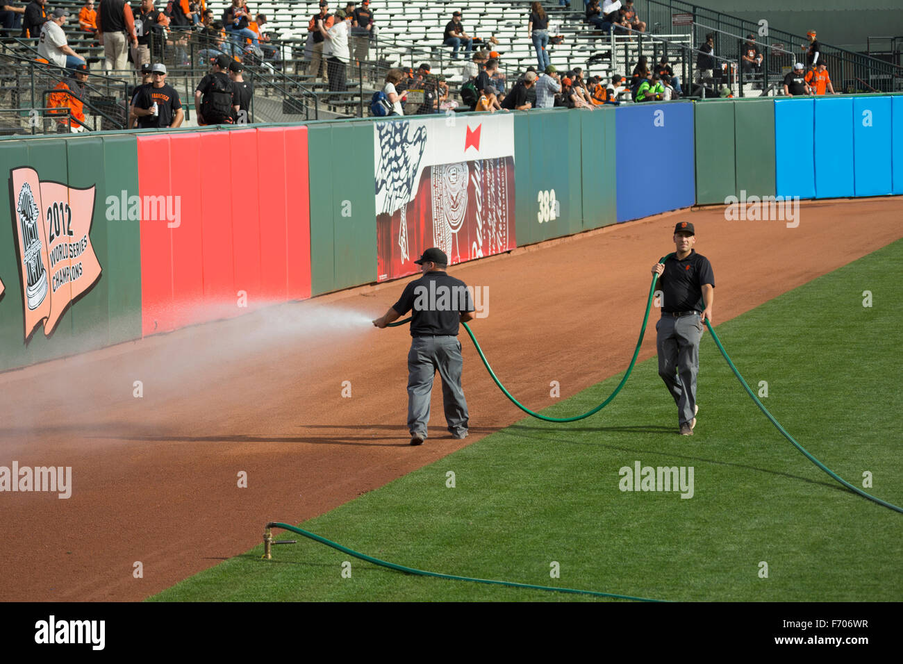 San Francisco, California, USA, October 16, 2014, AT&T Park, baseball stadium, SF Giants versus St. Louis Cardinals, National League Championship Series (NLCS), grounds crew squirts field Stock Photo