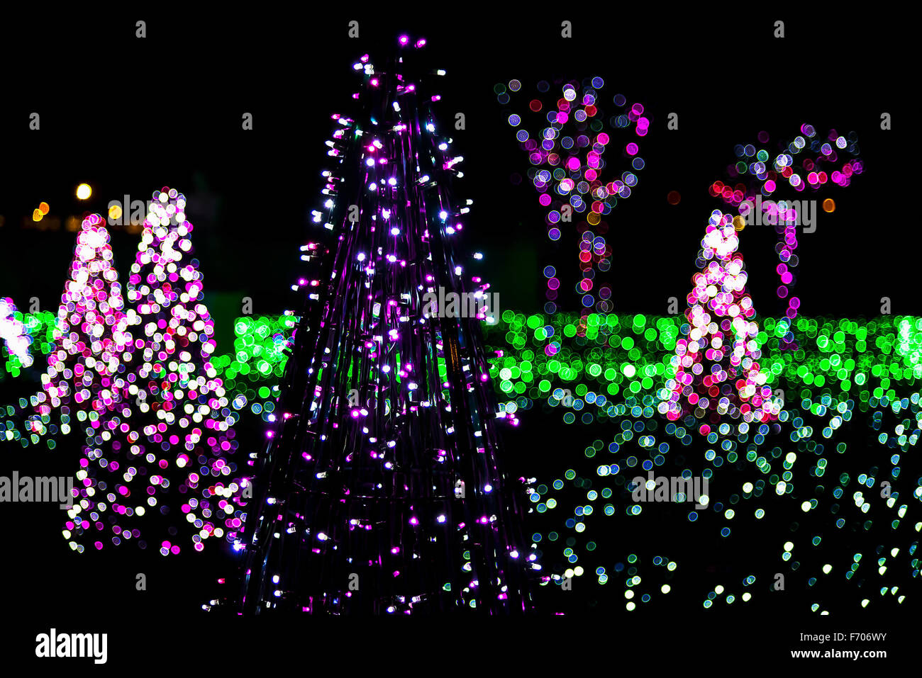 Fir-Trees and Grass Illuminated from Christmas Lamps in Garden Stock Photo