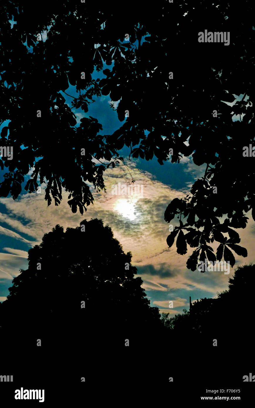 The sun hidden behind a cloud with trees in the foreground photogaphed in the late afternoon in July. Stock Photo