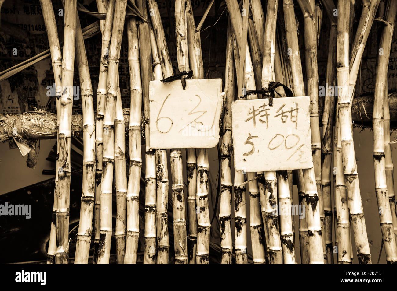 Asian market results Asian girls blog pictures