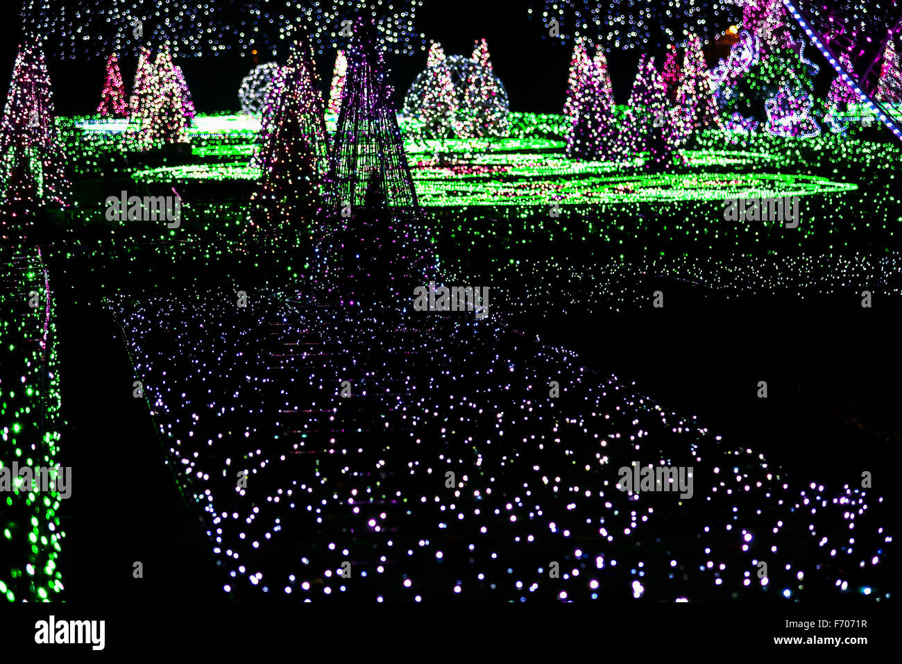 Garden of Colorful Lights with Sculptures of Christmas Trees Stock Photo