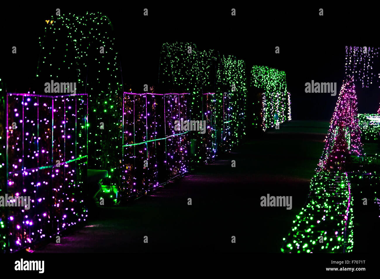 Alley of Colorful Christmas Lights at Night Stock Photo Alamy