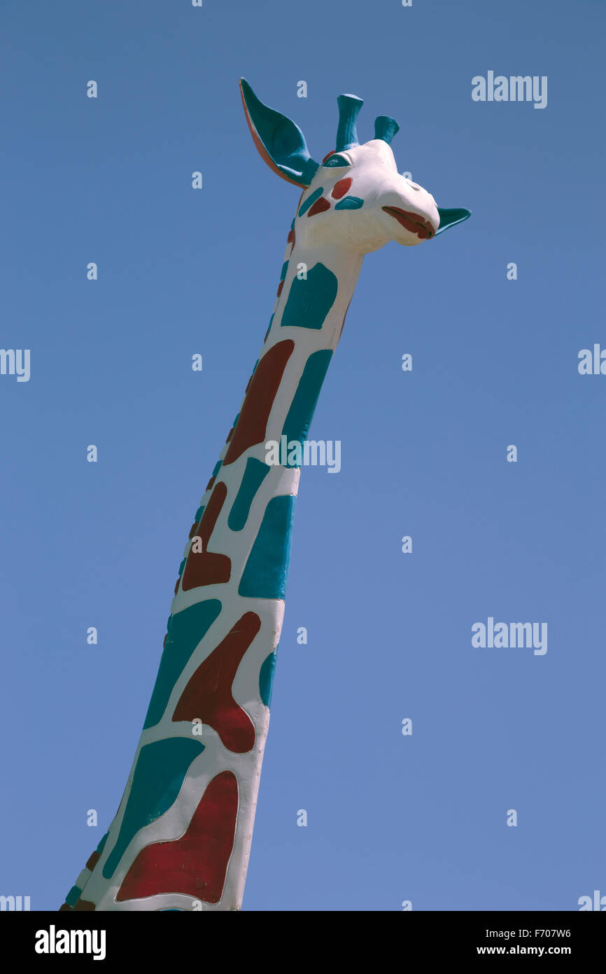 Arizona, Tucson, USA, April 8, 2015, roadside giraffe Stock Photo