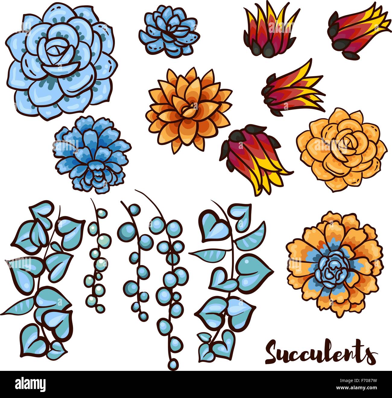 Succulents set In the hand drawn style Stock Vector Image & Art - Alamy