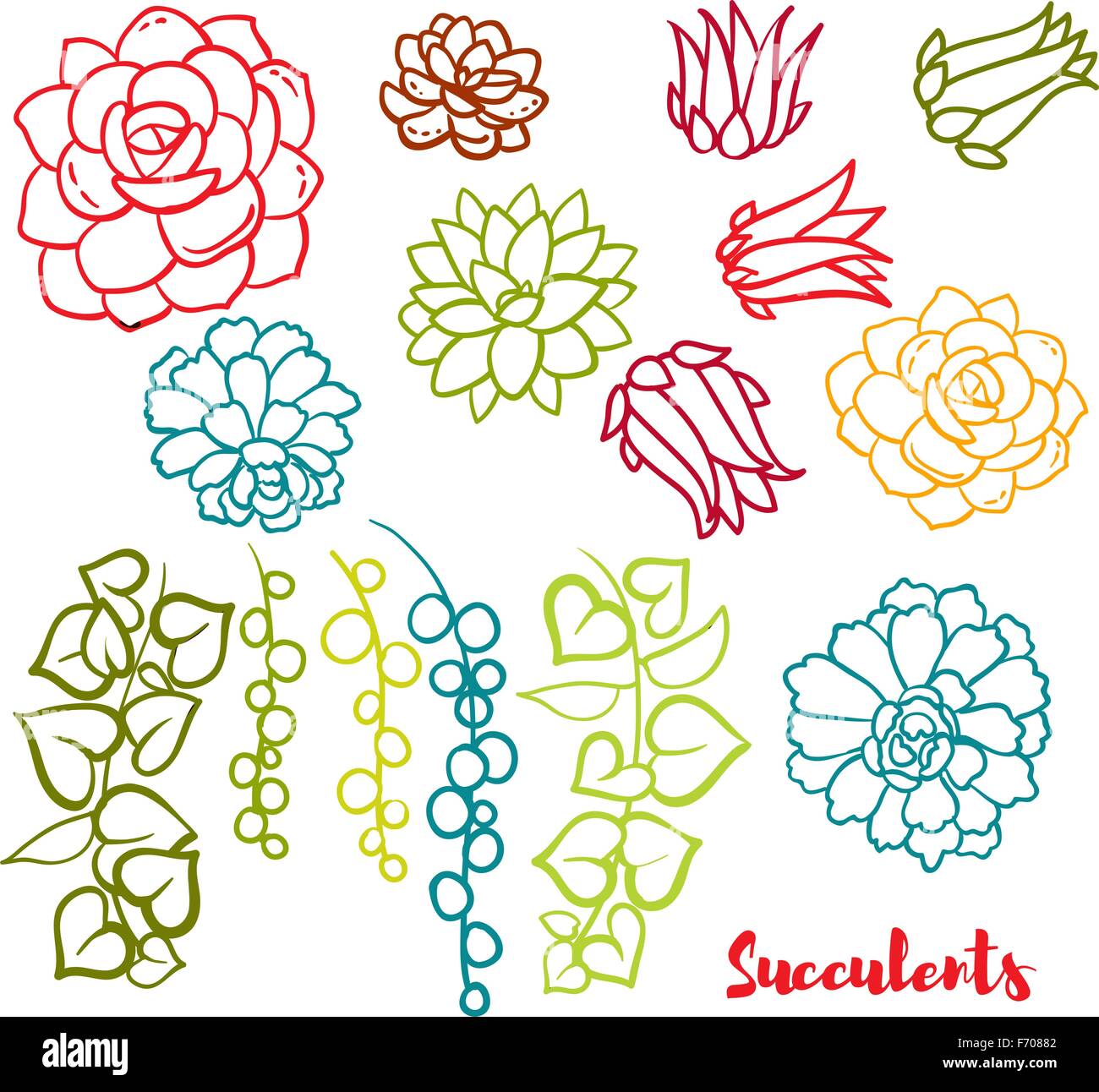 Succulents set In the hand drawn style Stock Vector Image & Art - Alamy
