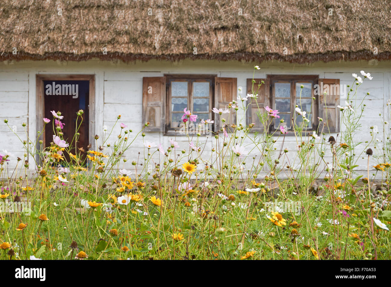 The Museum of the Mazovian Countryside in Sierpc, Poland. 19th century wooden thatched farmhouse. Stock Photo