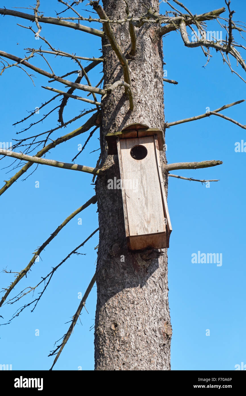 Old nest box for owls and birds of prey Stock Photo