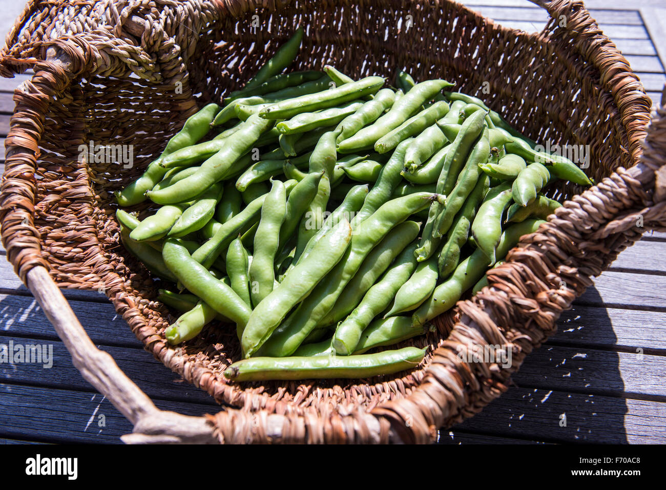 Garden fresh produce, Australia Stock Photo Alamy