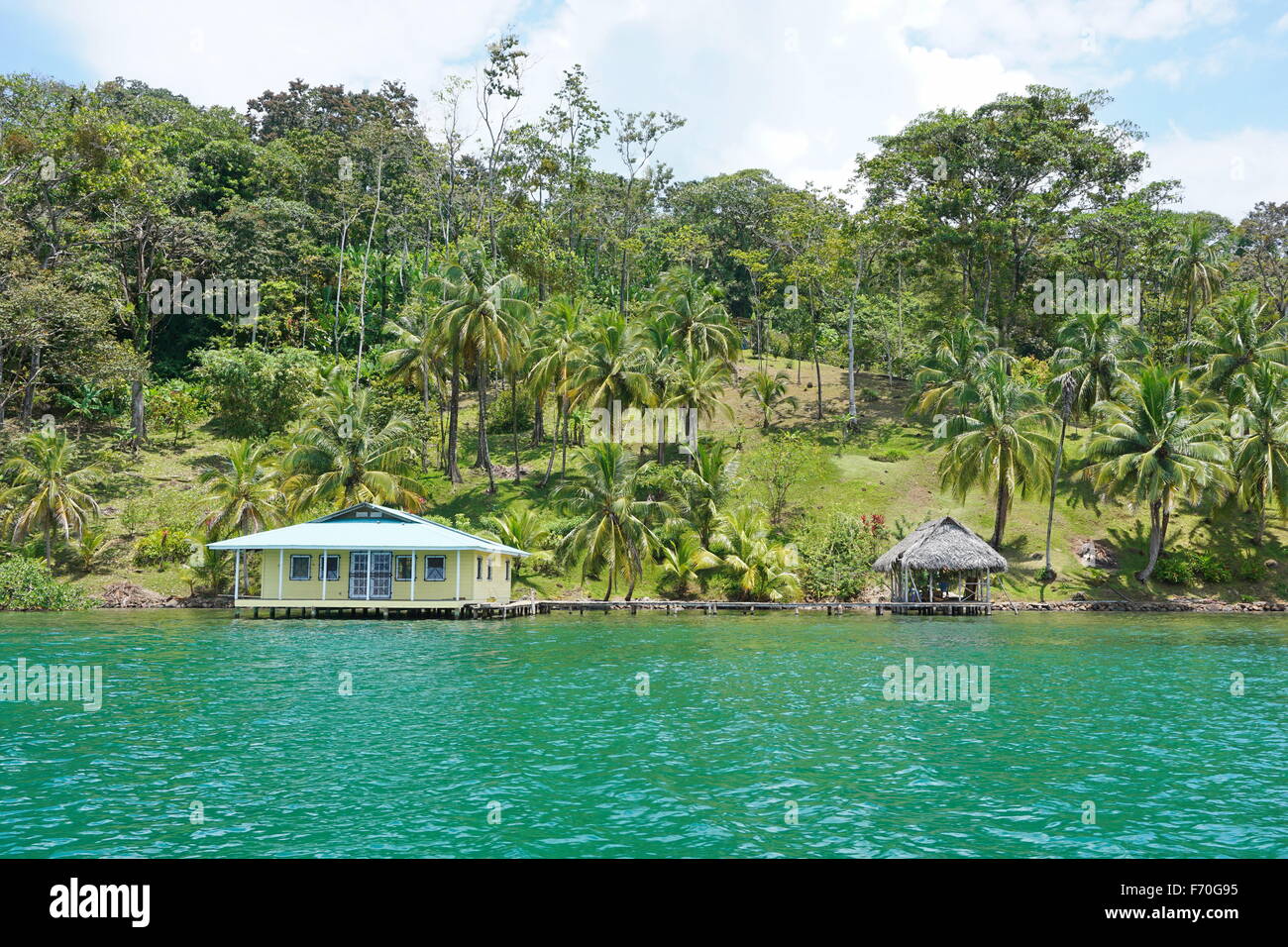 Oceanfront property in Central America with coconut palm trees and a