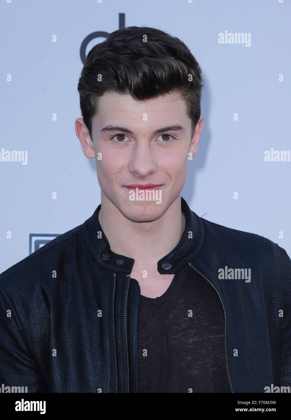 Shawn mendes 2015 hi-res stock photography and images - Alamy