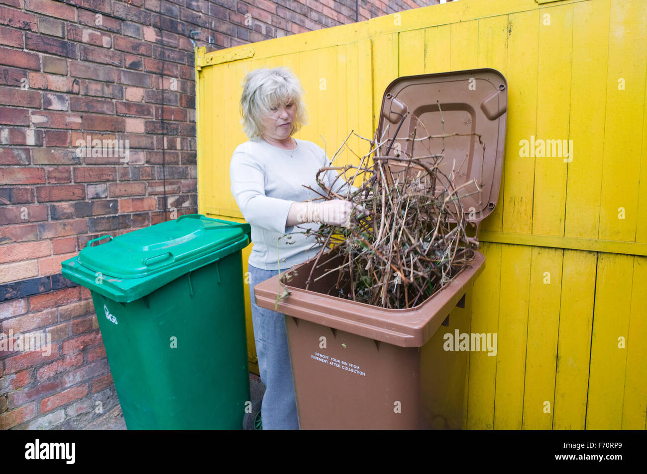Woman putting garden waste in brown recycling bin Stock Photo Alamy