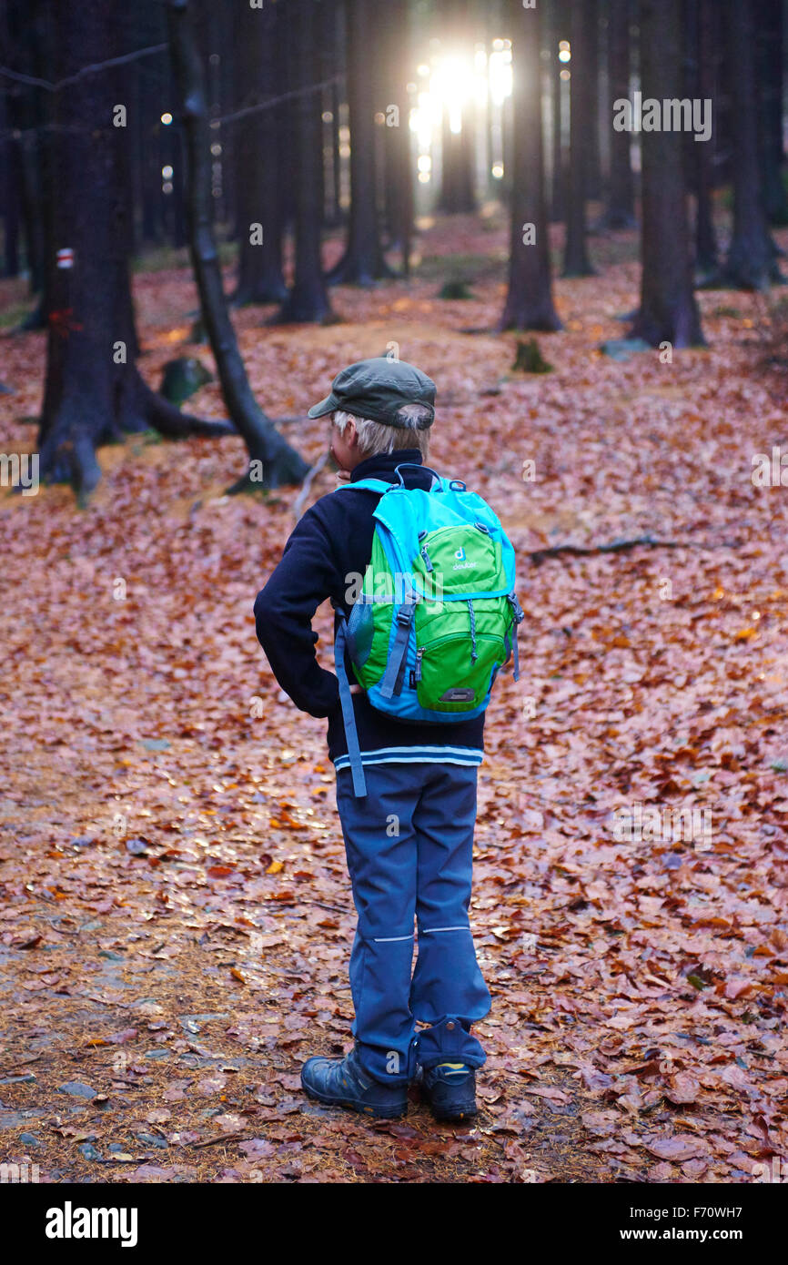 Wandering woodland hires stock photography and images Alamy