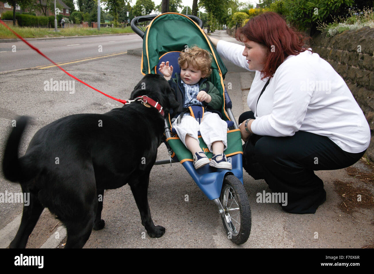 Mother with her baby son in his buggy and fussing a pet dog, Stock Photo