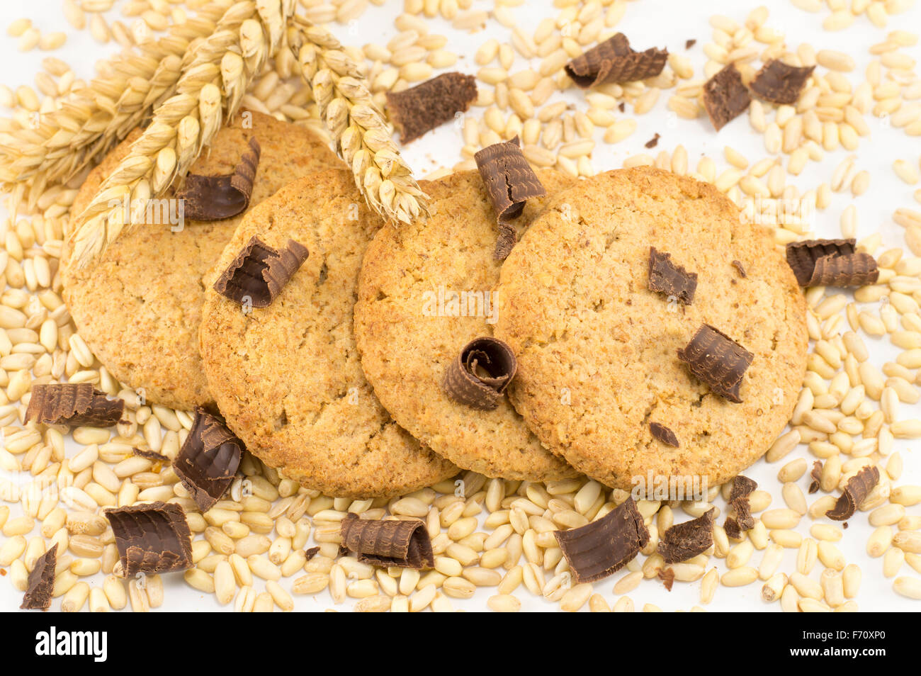 Integral cookies with dark chocolate crumbs and wheat plant on white background Stock Photo