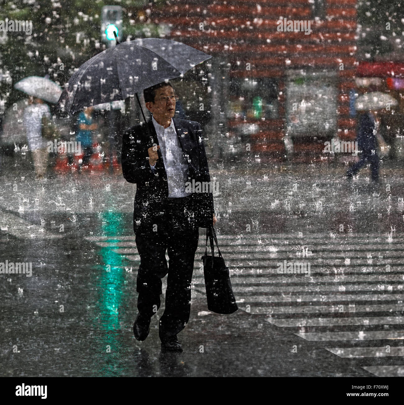 People Crossing A Crossroad On A Rainy Day In Tokyo, Japan, Stock Photo,  Picture And Royalty Free Image. Pic. ALF-133201605