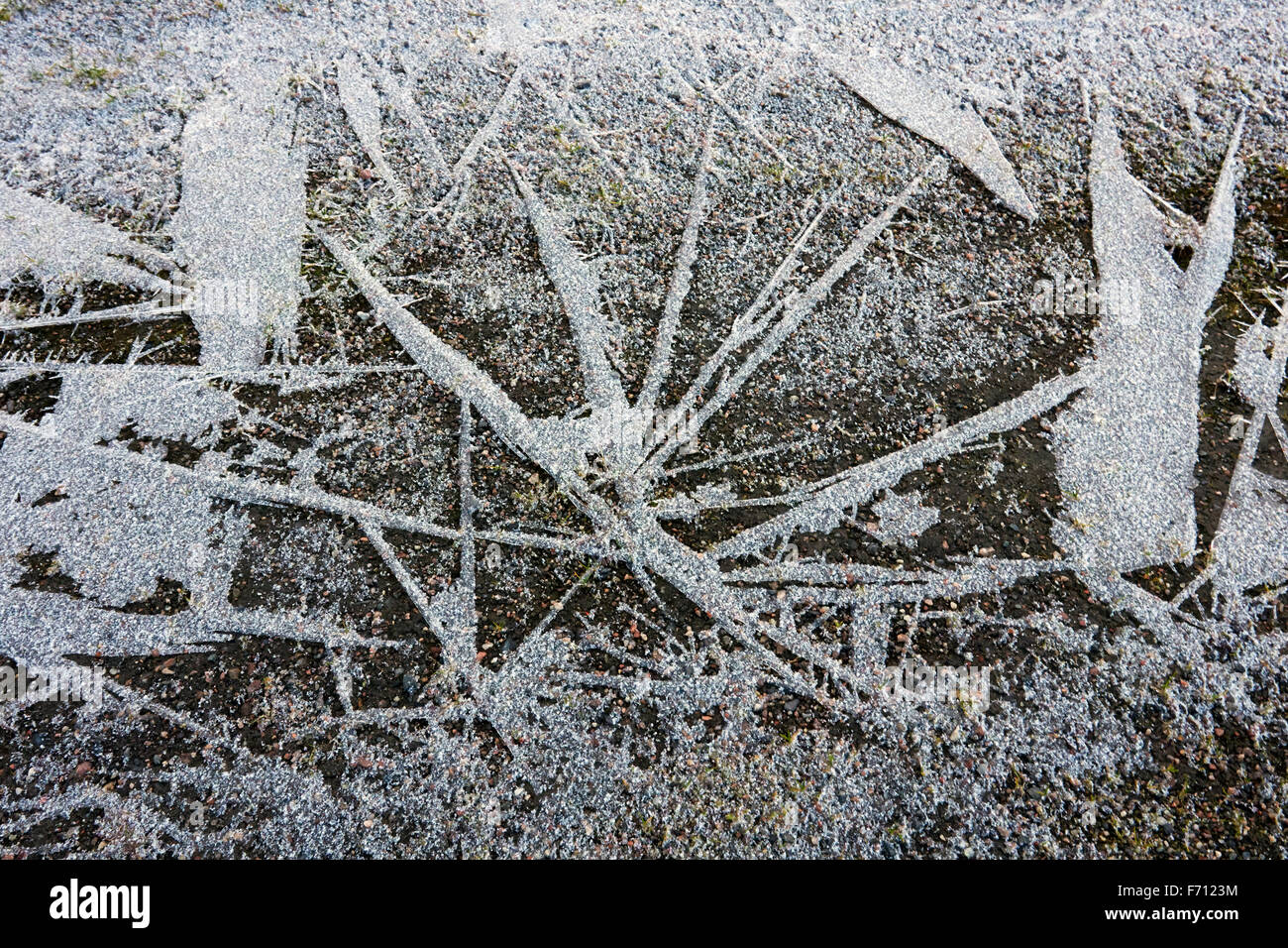 frozen ground, Finland Stock Photo Alamy