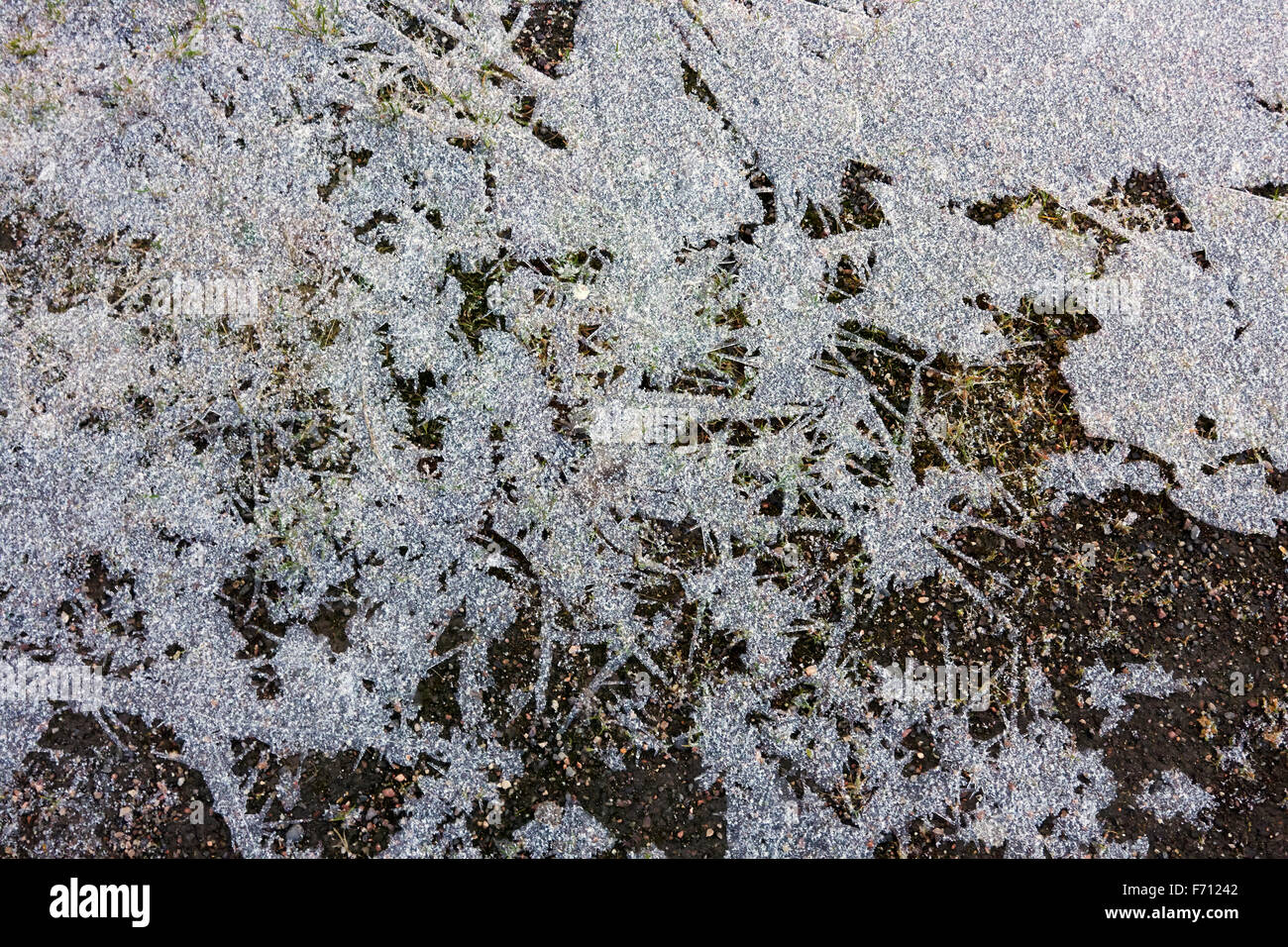 frozen ground, Finland Stock Photo Alamy
